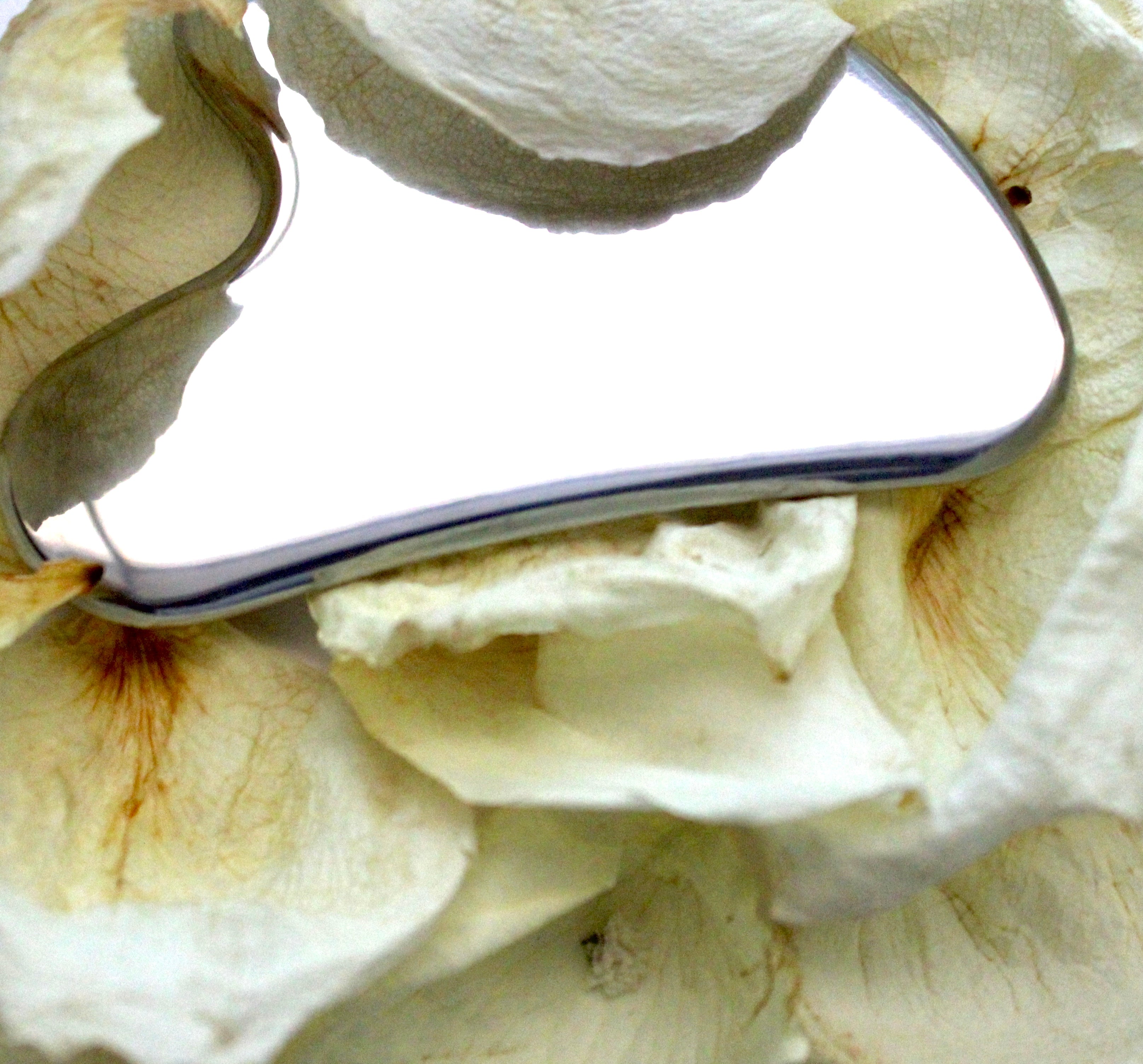 Kaylon Stainless Steel Gua Sha Facial Tool